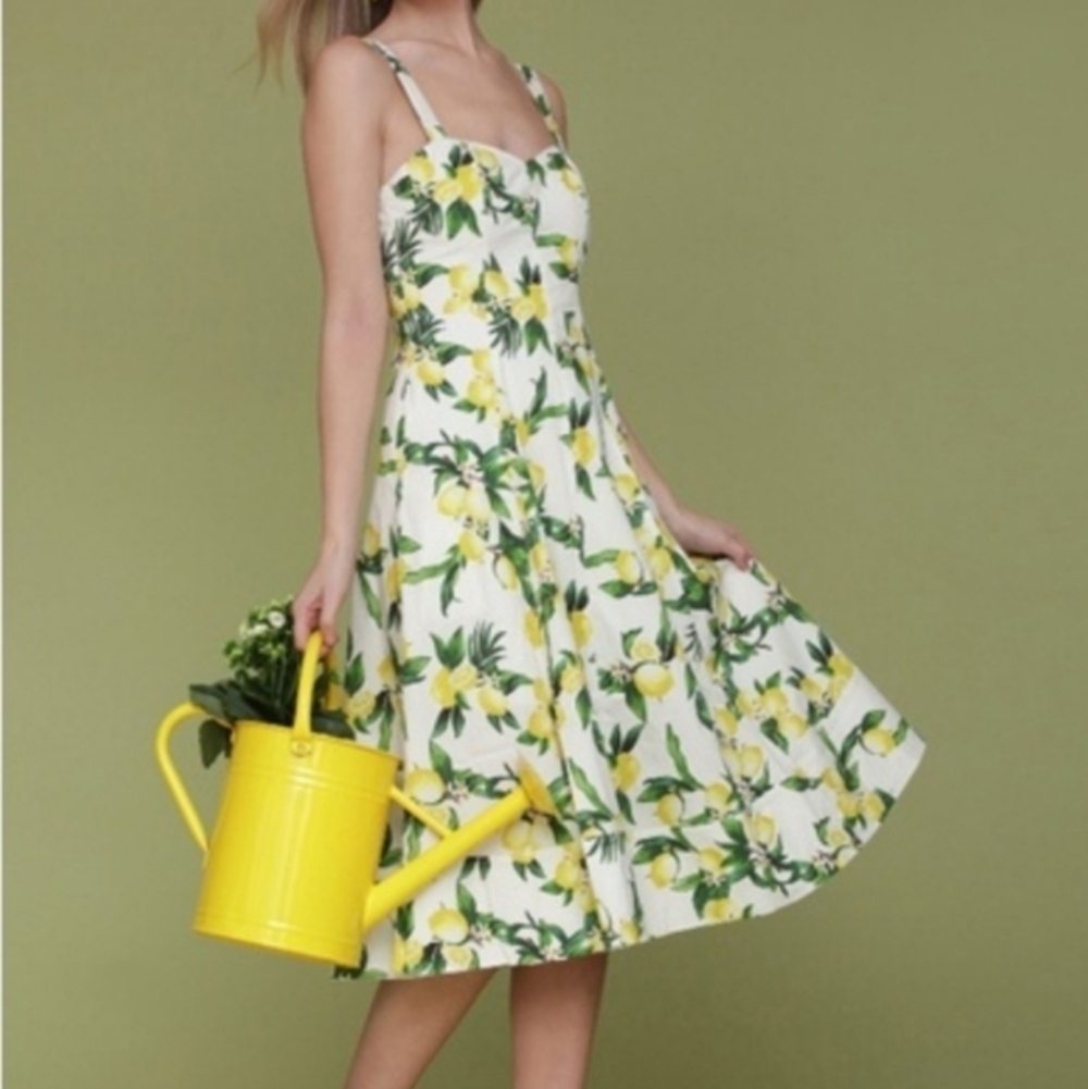 Anthropologie Brand Avec Les Filles Lemon Coastal Cottagecore Derby Dress